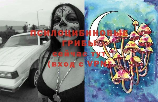 крисы Лагань