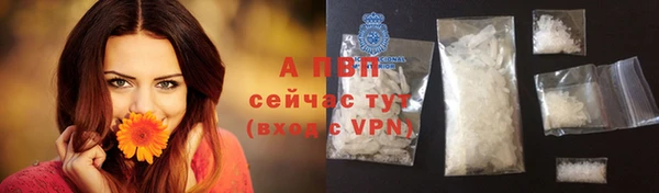 спайс Ладушкин