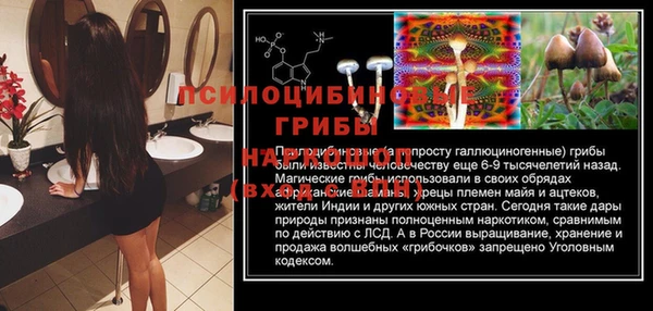 крисы Лагань