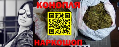 ешки Гай