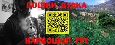 ешки Гай