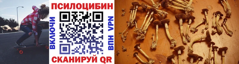Псилоцибиновые грибы ЛСД  Можга 
