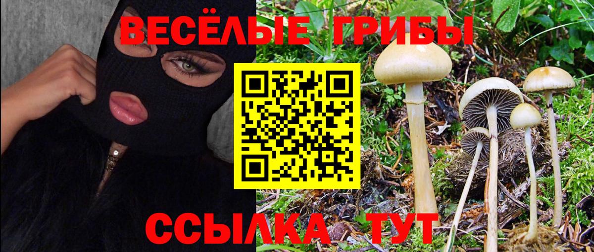  КОКАИН Можга