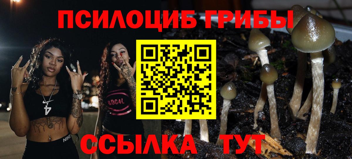 Можга  КОКАИН  Вход с VPN  КЕТАМИН  LSD-25  Меф МЯУ МЯУ кристаллы  ГАШИШ  МАРИХУАНА 