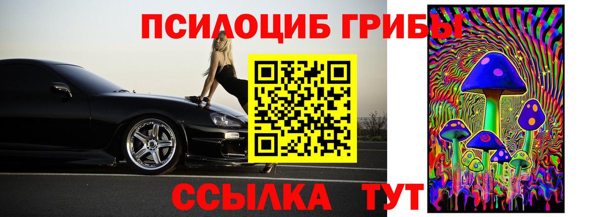 Галлюциногенные грибы Magic Shrooms  Можга 