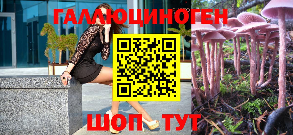 Галлюциногенные грибы прущие грибы Можга