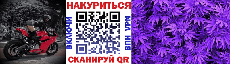 MEGA онион  Можга  Шишки марихуана план  купить наркотики цена 
