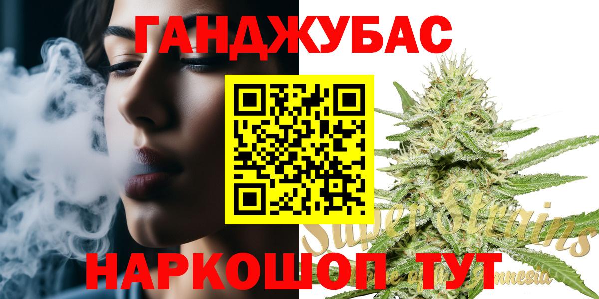 Конопля сатива Можга